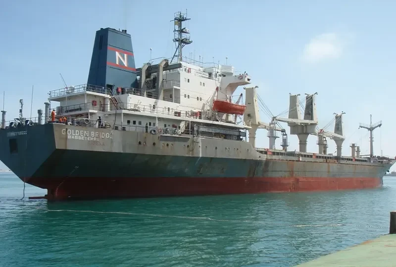 GOLDEN BRIDGE General Cargo IMO 7719222 photo 3