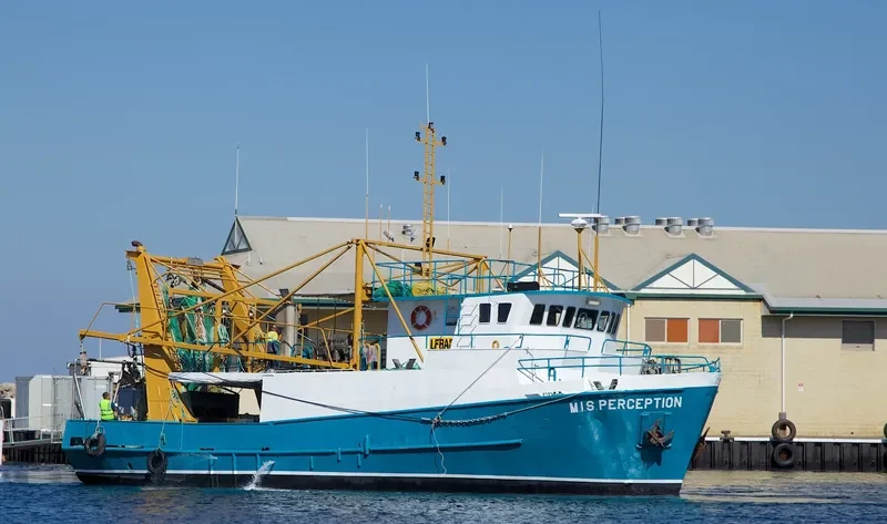 M.I.S.PERCEPTION Fishing Vessel IMO 7719428