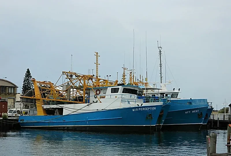 M.I.S.PERCEPTION Fishing Vessel IMO 7719428 photo 3