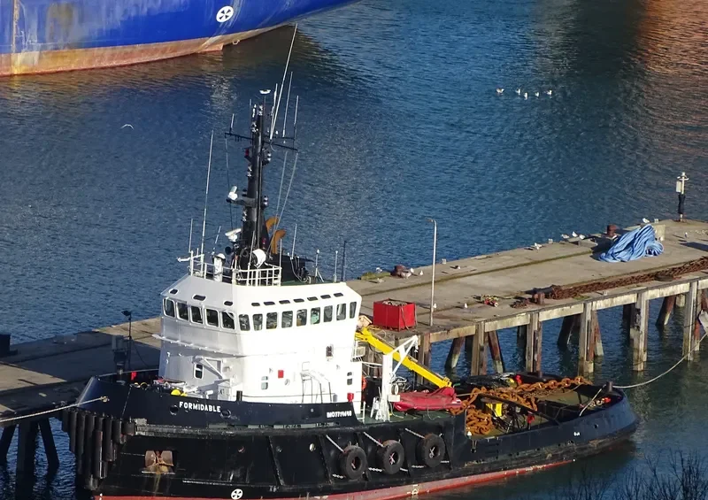 HAMAL General Cargo IMO 7719698
