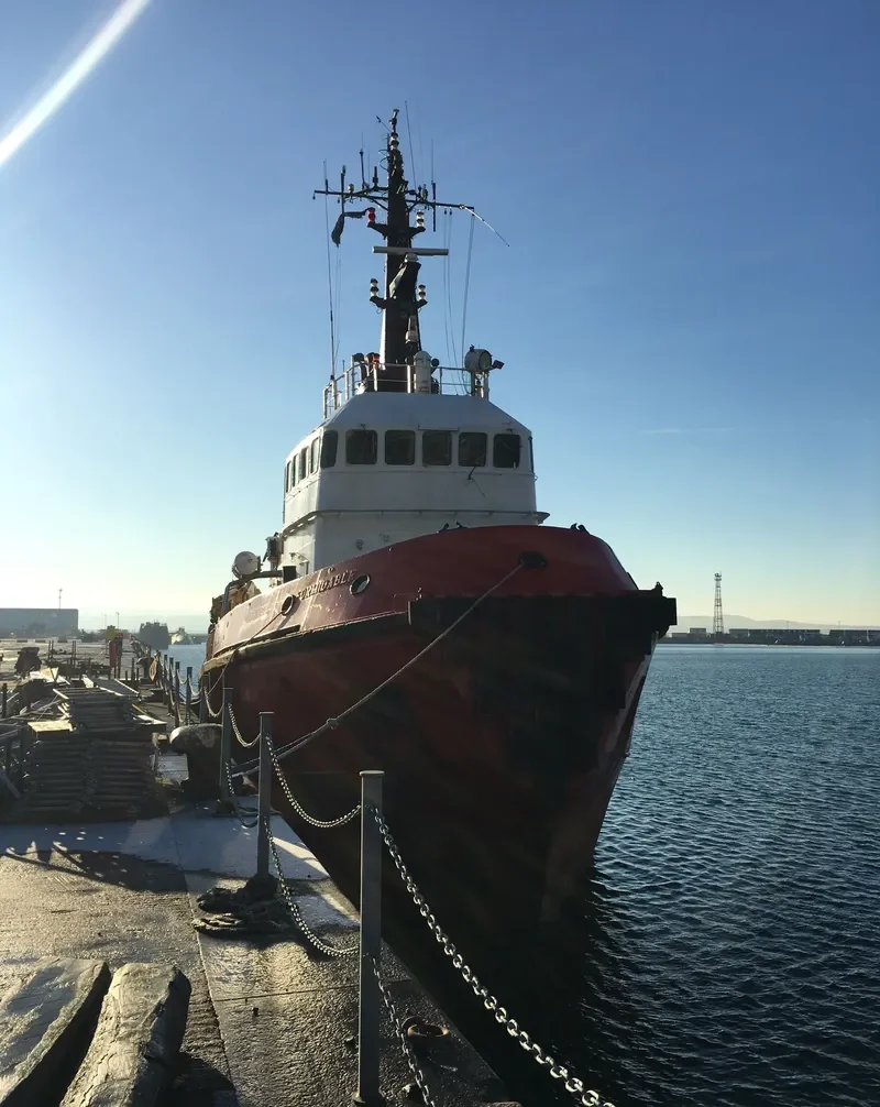 HAMAL General Cargo IMO 7719698 photo 8