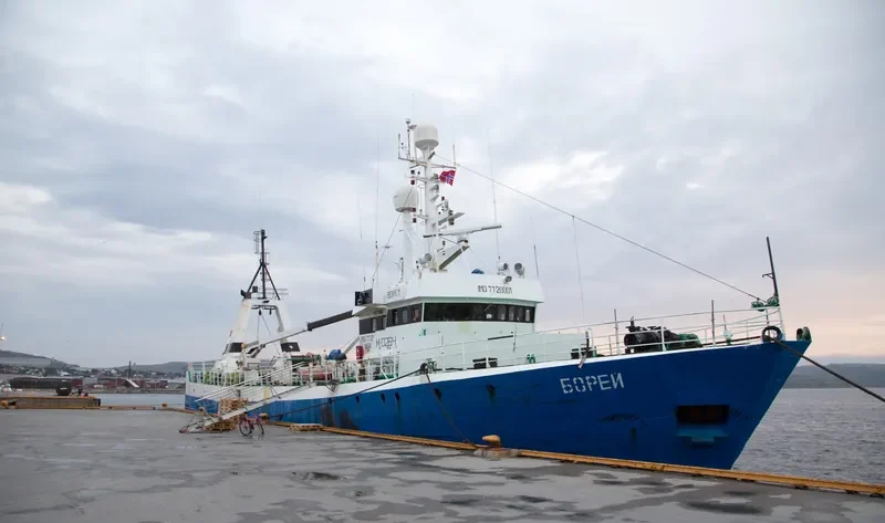 BOREY General Cargo IMO 7720001 photo 4