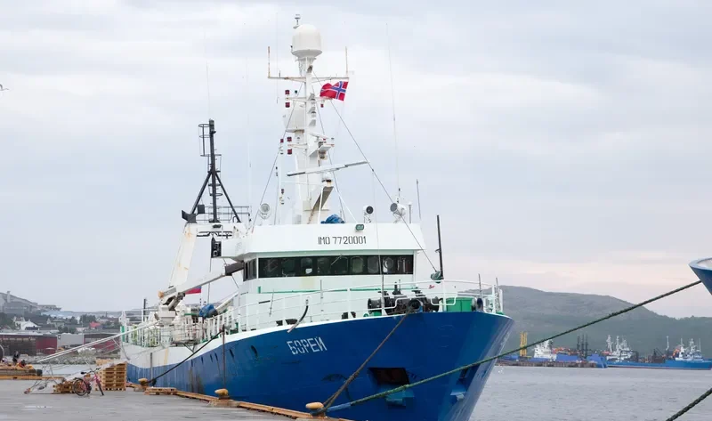 BOREY General Cargo IMO 7720001 photo 5