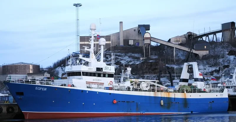BOREY General Cargo IMO 7720001 photo 7