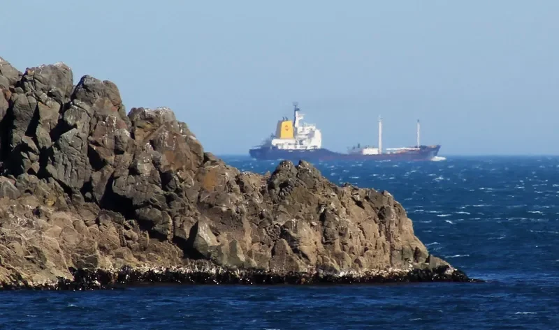 GOLDEN BAY General Cargo IMO 7720257 photo 9