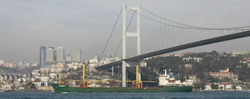 HUZUR 1 Bulk Carrier IMO 7720702 photo 6
