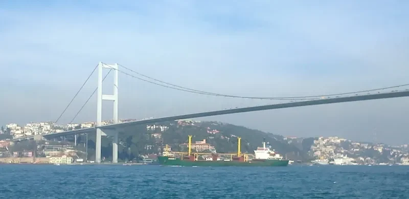 HUZUR 1 Bulk Carrier IMO 7720702 photo 9