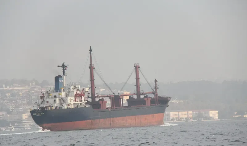HACI ALI SARI Bulk Carrier IMO 7720738 photo 3