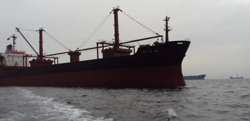 HACI ALI SARI Bulk Carrier IMO 7720738 photo 5