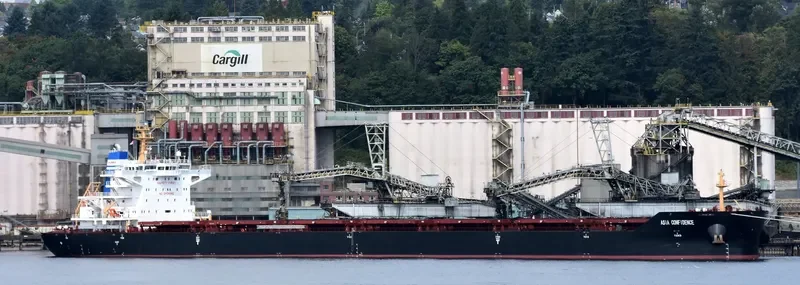 FULL RICH Bulk Carrier IMO 7720740