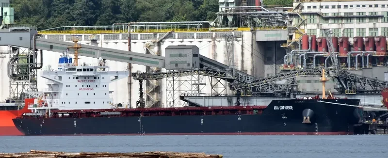 FULL RICH Bulk Carrier IMO 7720740 photo 2