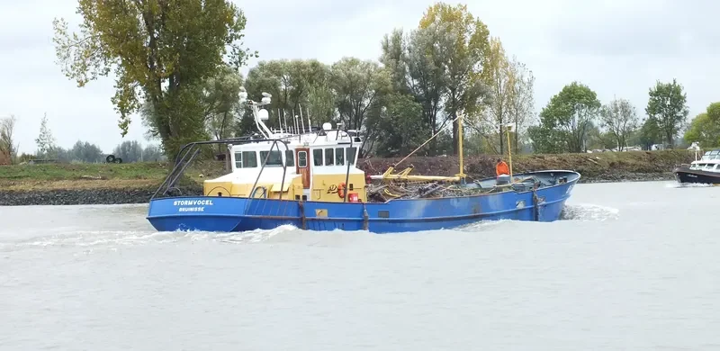 STORMVOGEL General Cargo IMO 7721031