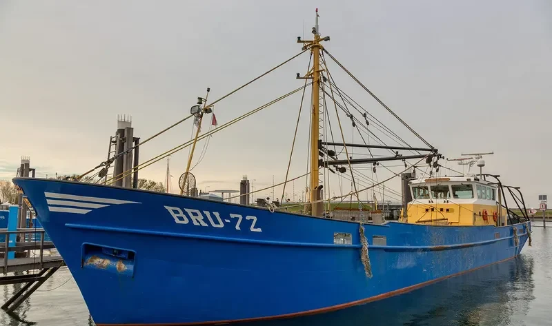 STORMVOGEL General Cargo IMO 7721031 photo 4