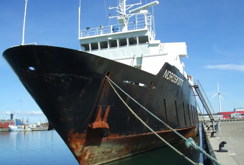 JEDDAH PALACE I General Cargo IMO 7721146 photo 4