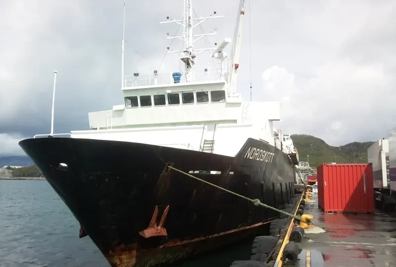 JEDDAH PALACE I General Cargo IMO 7721146 photo 10
