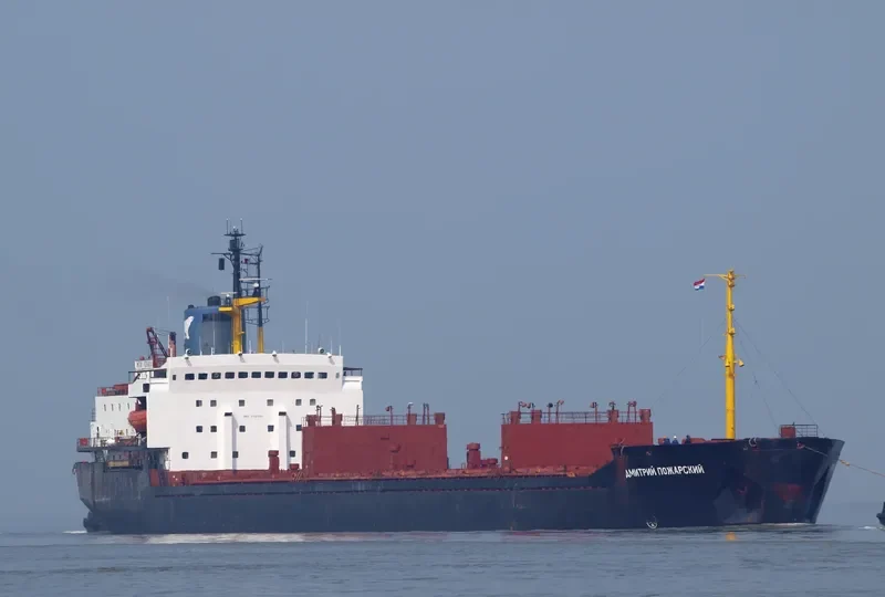 DMITRIY POZHARSKIY Bulk Carrier IMO 7721201 photo 2