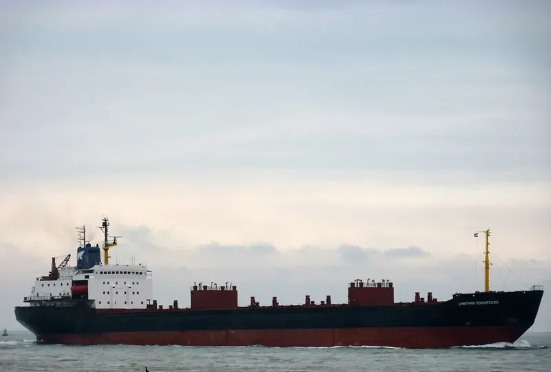DMITRIY POZHARSKIY Bulk Carrier IMO 7721201 photo 4