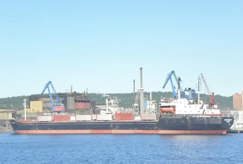 DMITRIY POZHARSKIY Bulk Carrier IMO 7721201 photo 8