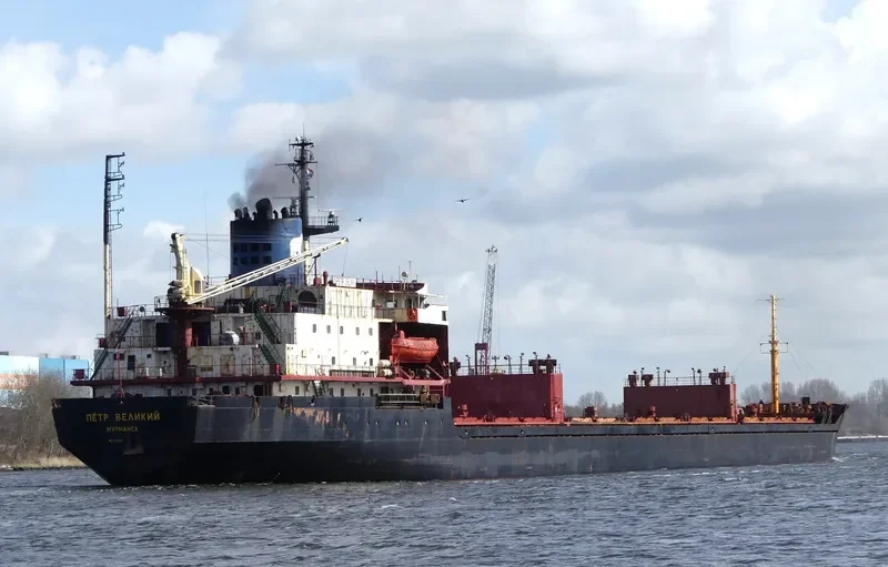 ELITE Bulk Carrier IMO 7721225 photo 2