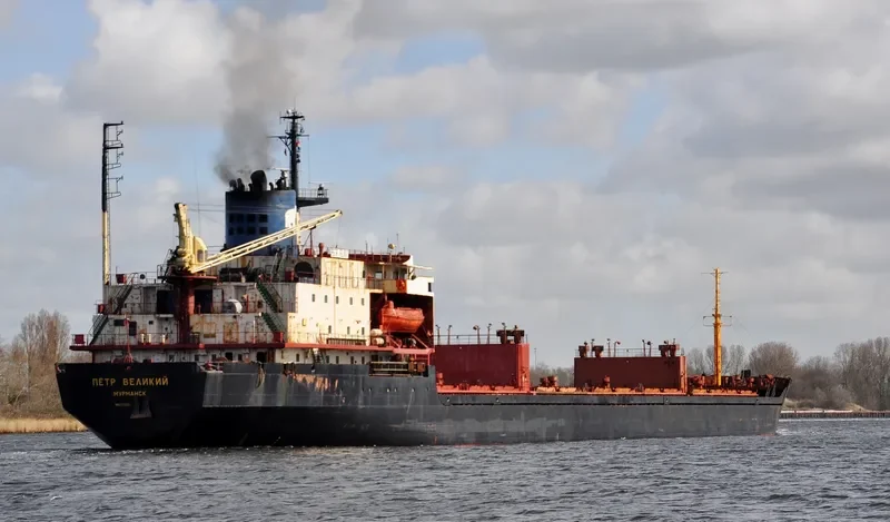 ELITE Bulk Carrier IMO 7721225 photo 5