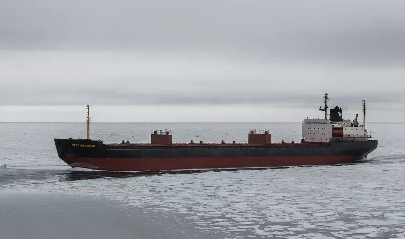 ELITE Bulk Carrier IMO 7721225 photo 7