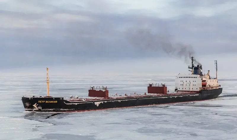 ELITE Bulk Carrier IMO 7721225 photo 8