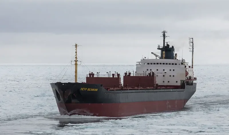 ELITE Bulk Carrier IMO 7721225 photo 9