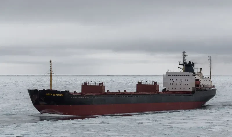 ELITE Bulk Carrier IMO 7721225 photo 10