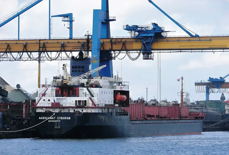 CYBER Bulk Carrier IMO 7721237