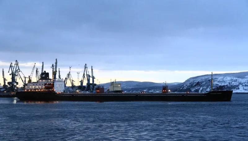 CYBER Bulk Carrier IMO 7721237 photo 2