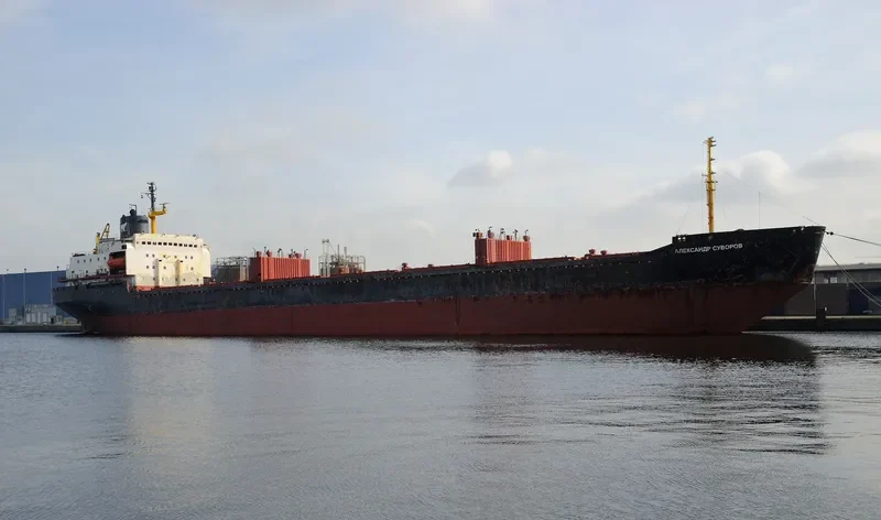 CYBER Bulk Carrier IMO 7721237 photo 3