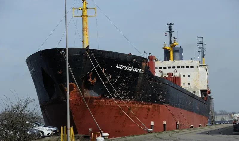 CYBER Bulk Carrier IMO 7721237 photo 4