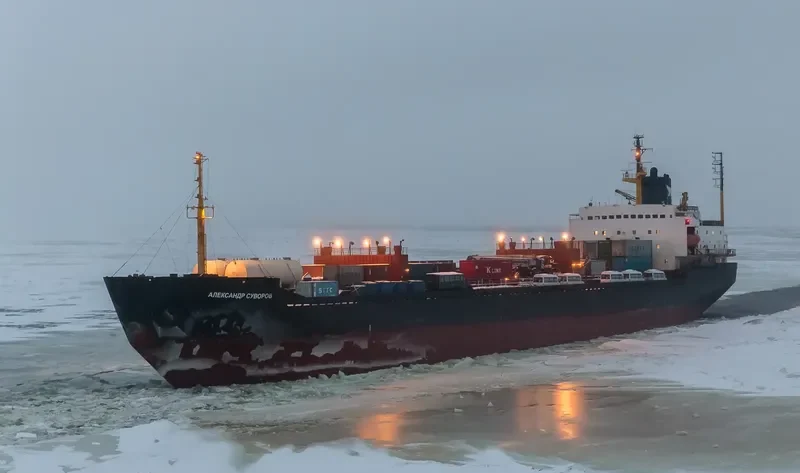 CYBER Bulk Carrier IMO 7721237 photo 6