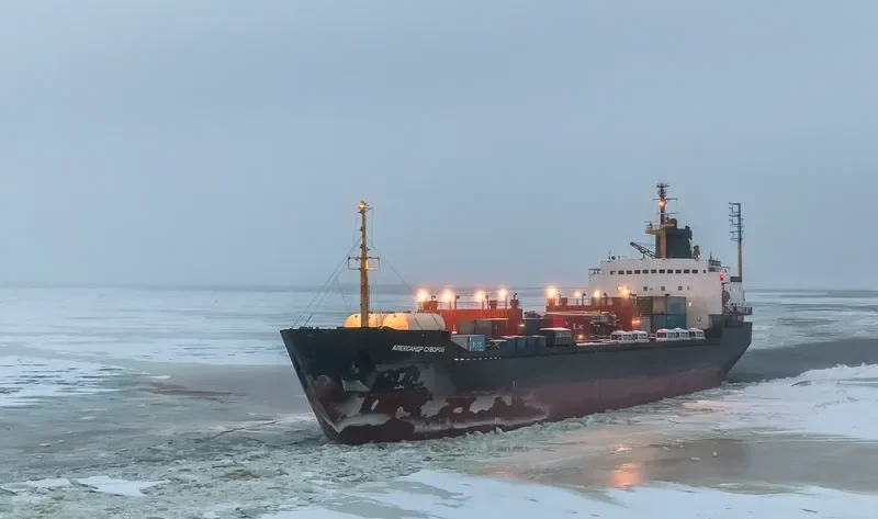 CYBER Bulk Carrier IMO 7721237 photo 7