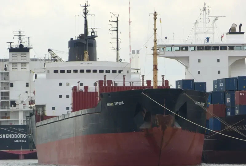 MIKHAIL KUTUZOV Bulk Carrier IMO 7721249 photo 2