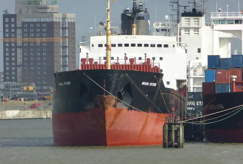 MIKHAIL KUTUZOV Bulk Carrier IMO 7721249 photo 3