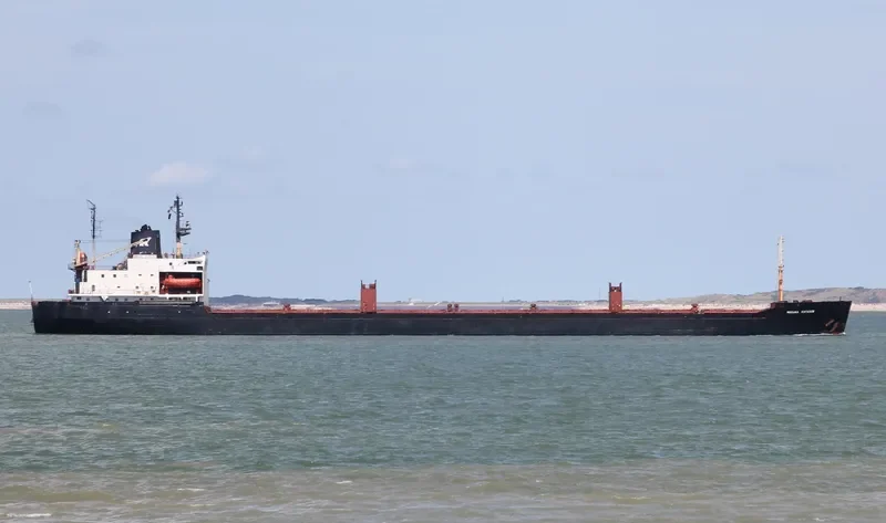 MIKHAIL KUTUZOV Bulk Carrier IMO 7721249 photo 9