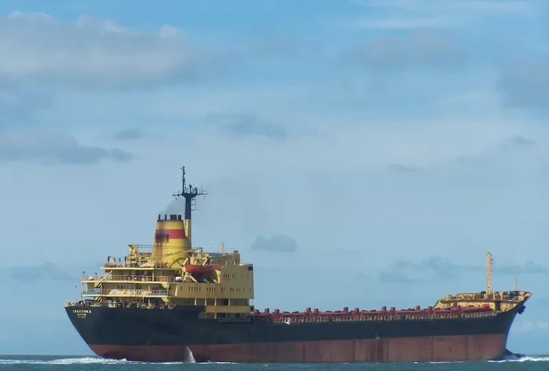 PRIANKA Bulk Carrier IMO 7721316 photo 10