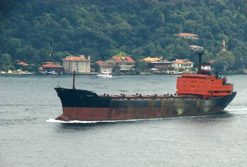 ELENA B Bulk Carrier IMO 7721330 photo 10
