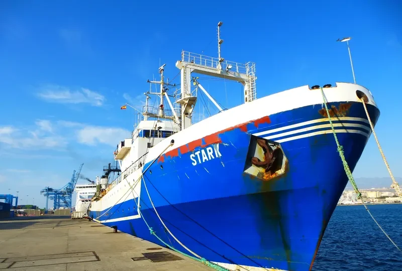 ATLANTIC STORM General Cargo IMO 7721603 photo 3