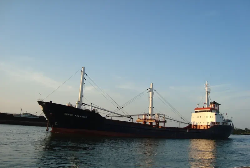 GULFEM KALKAVAN General Cargo IMO 7721873 photo 7