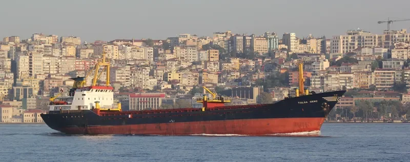 RAHAF MOON General Cargo IMO 7721885 photo 7