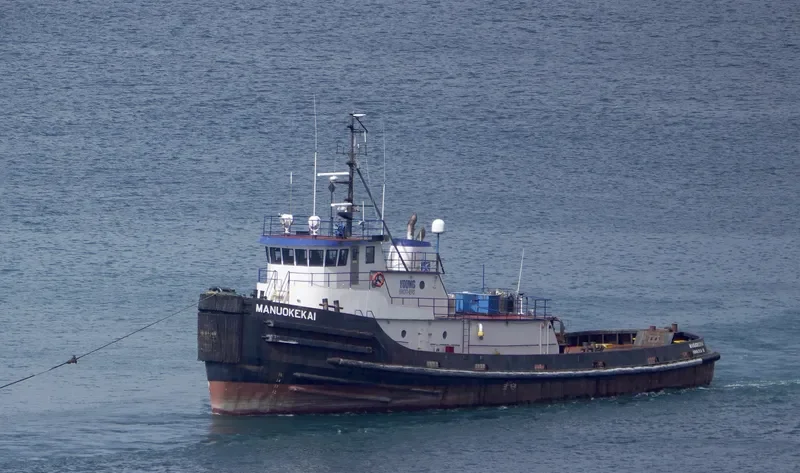 MANUOKEKAI General Cargo IMO 7722061 photo 9