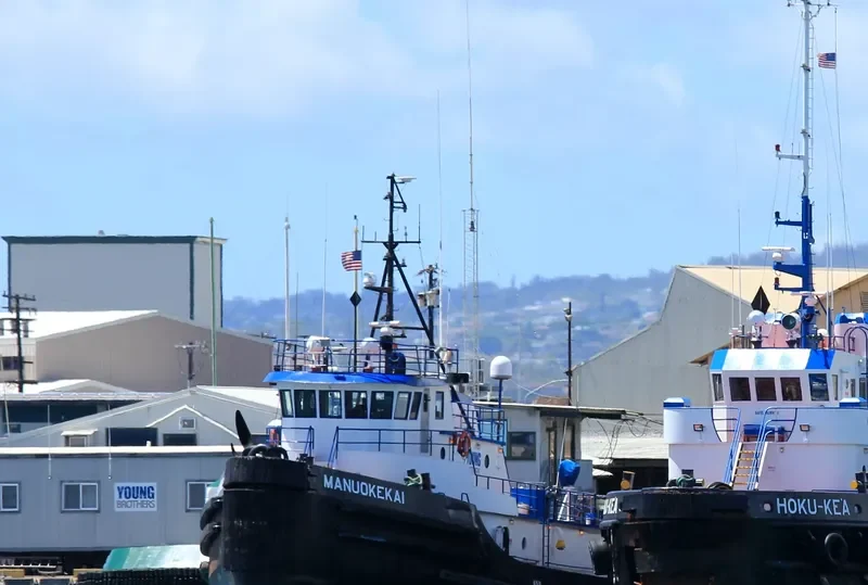 MANUOKEKAI General Cargo IMO 7722061 photo 10