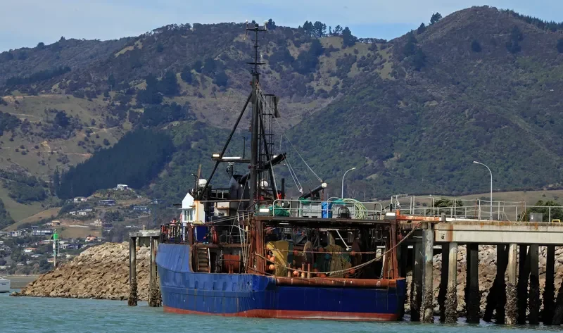 TAUDRE General Cargo IMO 7722528