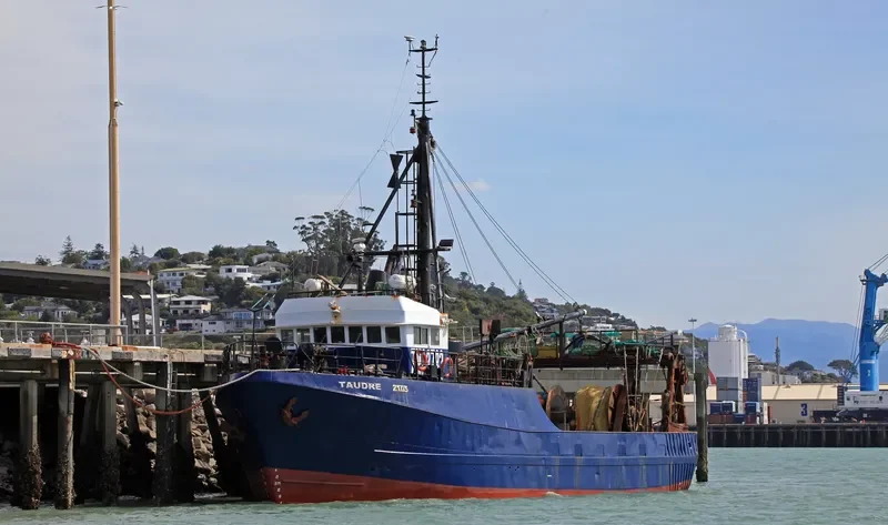 TAUDRE General Cargo IMO 7722528 photo 2