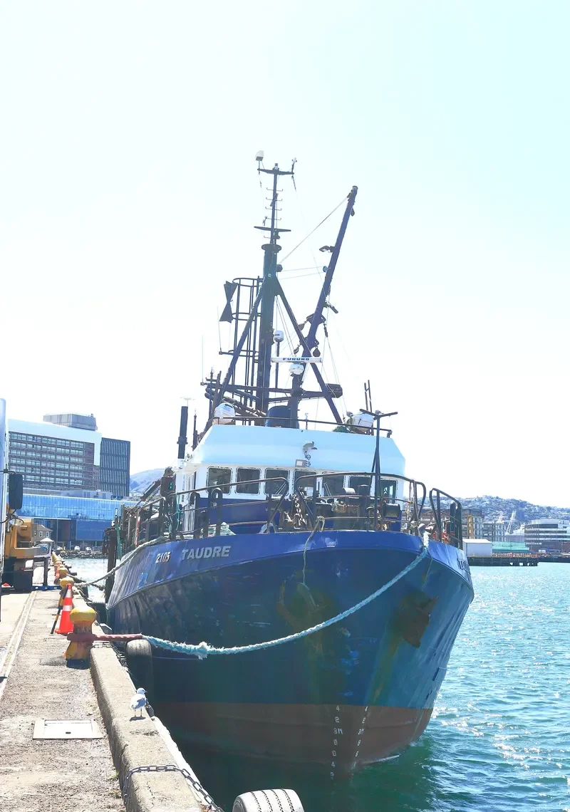 TAUDRE General Cargo IMO 7722528 photo 8