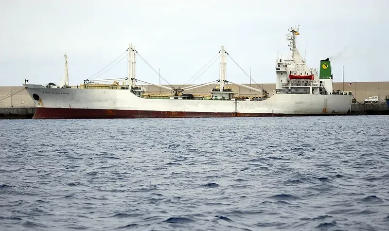 LEONID MILOSLAVSKIY General Cargo IMO 7722592 photo 2