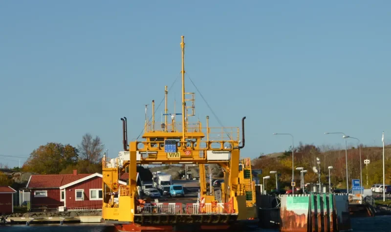 VIVI Passenger Ship IMO 7723584 photo 3
