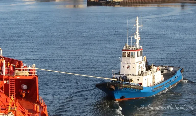 TORNADO General Cargo IMO 7723845 photo 7